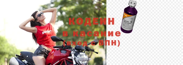 2c-b Краснослободск