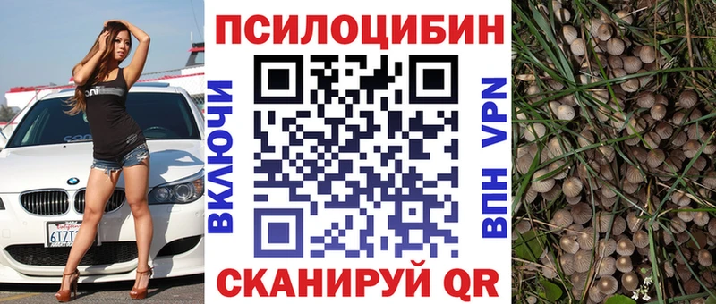 Галлюциногенные грибы Magic Shrooms  это клад  Вышний Волочёк 