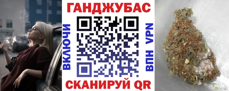 купить наркотик  Вышний Волочёк  ОМГ ОМГ рабочий сайт  Конопля ГИДРОПОН 
